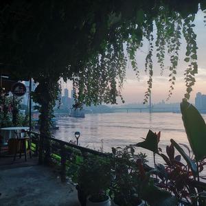 三级做爱真人视频app
