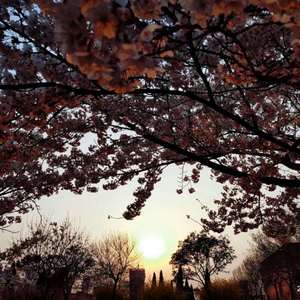 三级做爱真人视频app
